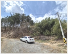  2025Ÿ317  ׽ ϱ  θ 23-5     (Ӿ)