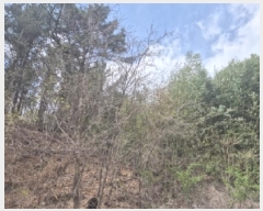  2025Ÿ317  ׽ ϱ  θ 23-5     (Ӿ)