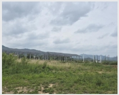  2025Ÿ��352  ����