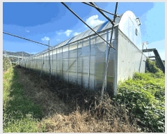  2025Ÿ��357 ��� ���׽� �ϱ� ���� ������ 556-3     ����,â�����