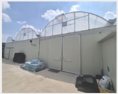  2025Ÿ��357 ��� ���׽� �ϱ� ���� ������ 556-3     ����,â�����