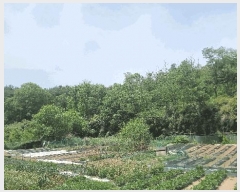  2025Ÿ362  ׽    65-19     (Ӿ)