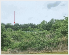  2025Ÿ362  ׽    65-19     (Ӿ)