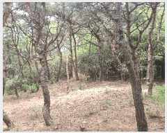  2025Ÿ362  ׽    65-19     (Ӿ)