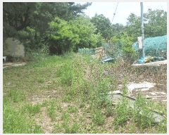  2025Ÿ362  ׽    65-19     (Ӿ)