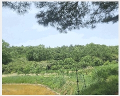  2025Ÿ362  ׽    65-19     (Ӿ)