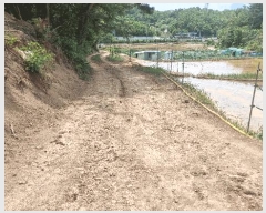  2025Ÿ362  ׽    65-19     (Ӿ)