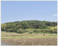  2025Ÿ362  ׽    65-19     (Ӿ)