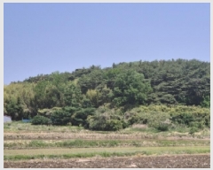  2025Ÿ362  ׽    65-19     (Ӿ)