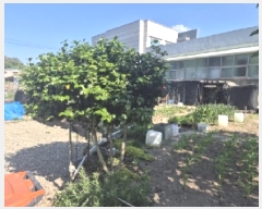  2025Ÿ��367 ��� ���׽� ���� ��õ�� ����� 380-4     ����(��)���