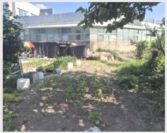  2025Ÿ��367 ��� ���׽� ���� ��õ�� ����� 380-4     ����(��)���