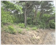  2025Ÿ377  ׽    157-4     (Ӿ)