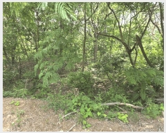  2025Ÿ377  ׽    157-4     (Ӿ)