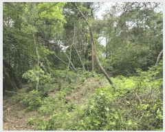  2025Ÿ377  ׽    157-4     (Ӿ)