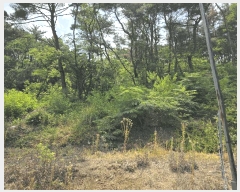  2025Ÿ377  ׽    157-4     (Ӿ)