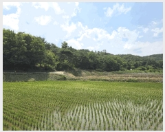  2025Ÿ377  ׽    157-4     (Ӿ)