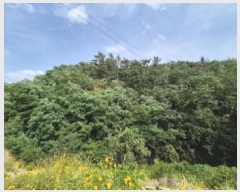  2025Ÿ377  ׽    157-4     (Ӿ)