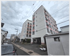  2025Ÿ��382  ���ǽ��ڰ��