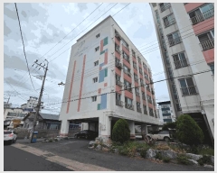  2025Ÿ��382  ���ǽ��ڰ��