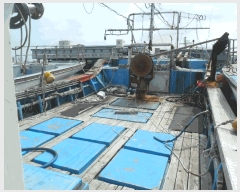  2025Ÿ��392  ���ڰ��