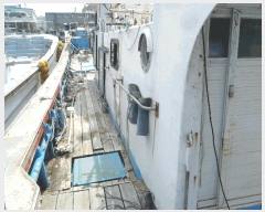  2025Ÿ��392  ���ڰ��