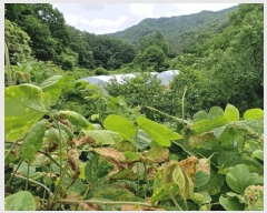  2025Ÿ��397 ��� ���׽� �ϱ� ����� ����� 614     ����(��)���