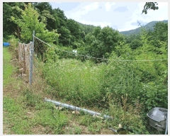  2025Ÿ��397 ��� ���׽� �ϱ� ����� ����� 614     ����(��)���