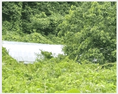  2025Ÿ��397 ��� ���׽� �ϱ� ����� ����� 614     ����(��)���