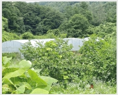  2025Ÿ��397 ��� ���׽� �ϱ� ����� ����� 614     ����(��)���