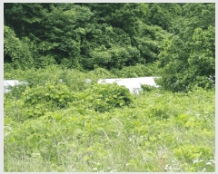  2025Ÿ��397 ��� ���׽� �ϱ� ����� ����� 614     ����(��)���