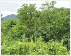  2025Ÿ��397 ��� ���׽� �ϱ� ����� ����� 614     ����(��)���