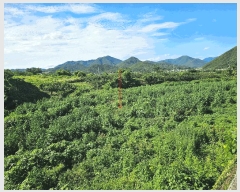  2025Ÿ402  ׽ ϱ  κ 231     (1)