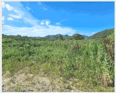  2025Ÿ402  ׽ ϱ  κ 231     (1)