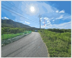  2025Ÿ402  ׽ ϱ  κ 231     (1)