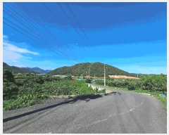  2025Ÿ402  ׽ ϱ  κ 231     (1)