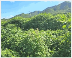  2025Ÿ402  ׽ ϱ  κ 231     (1)