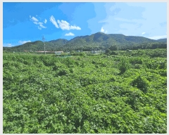  2025Ÿ402  ׽ ϱ  κ 231     (1)