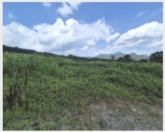  2025Ÿ402  ׽ ϱ  κ 231     (1)