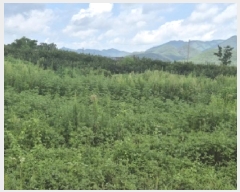  2025Ÿ402  ׽ ϱ  κ 231     (1)