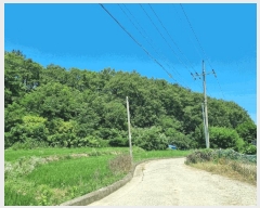  2025Ÿ��412 ��� ���׽� �ϱ� ������ ���θ� 473-10     ����(��)���