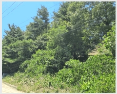  2025Ÿ��412  �Ӿ߰��