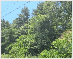  2025Ÿ��412  �Ӿ߰��