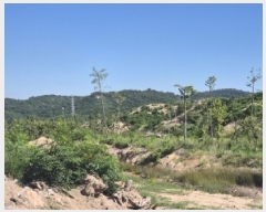  2025Ÿ��412  �Ӿ߰��