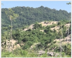  2025Ÿ��412  �Ӿ߰��