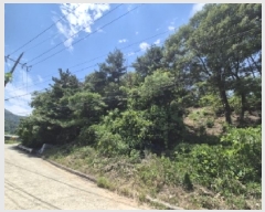  2025Ÿ��412  �Ӿ߰��