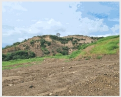  2025Ÿ��412 ��� ���׽� �ϱ� ������ ���θ� 473-10     ����(��)���