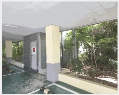  2025Ÿ��462  ���ð��