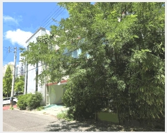  2025Ÿ��462  ���ð��