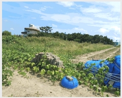  2025Ÿ��477  �����