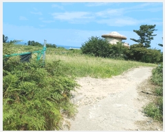  2025Ÿ��477  �����